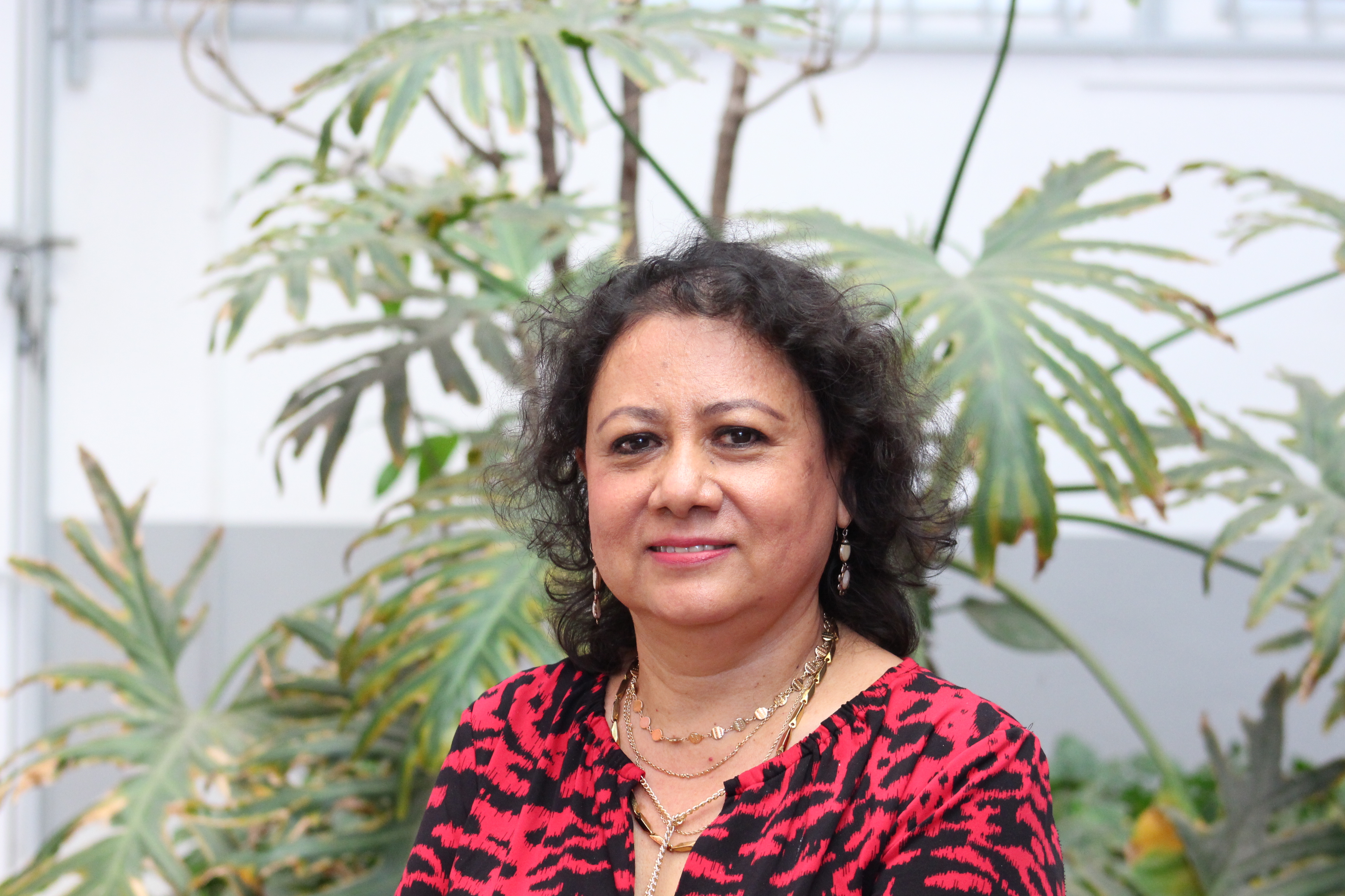 Dra. Luz del Carmen Alarcón Romero 